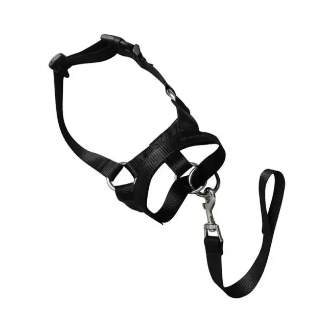 Black Dog Training Head Collar Halter Stop Pulling Training Tool Harness Strap Leader…