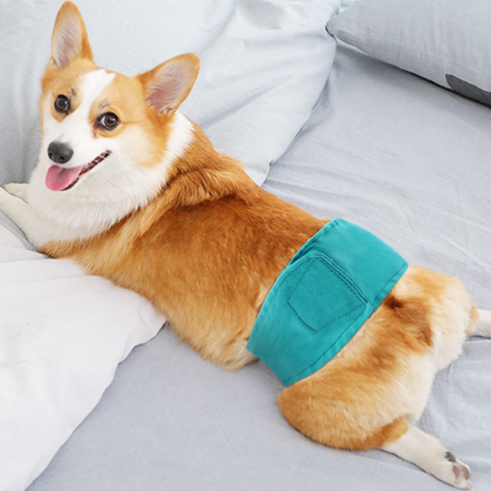 Male Dog Diapers Reusable Absorbent image 4