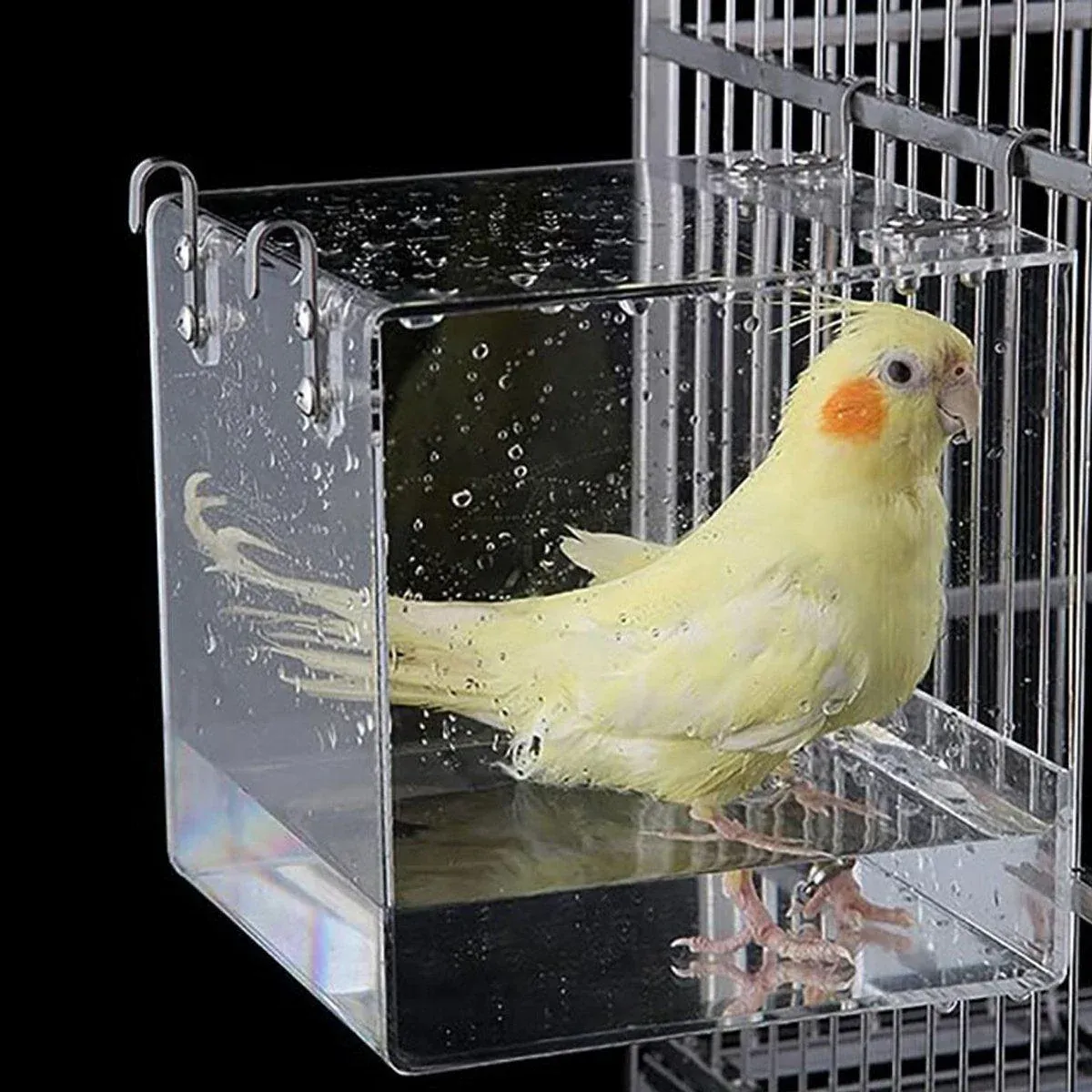 Bird Bathing Box Basin for Birds Outdoor Bathing Pool Bird Shower Basin for Pets image 4