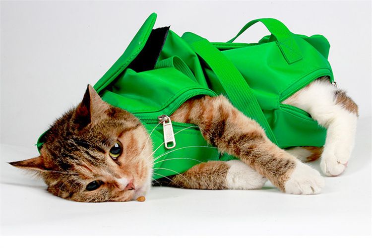 Orange S 37x24cm Breathable Folding Kitty Tote Carrier for 2-6lb Cats…, 37 × 24cm image 3