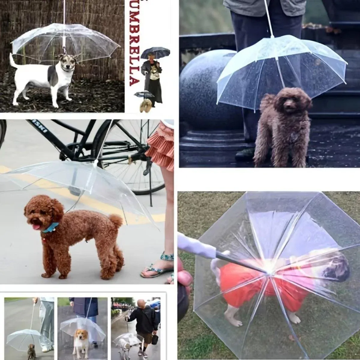 Pet Dog Transparent Umbrella 30 inch Diameter With Dog Leash For Rain Walking Outdoor image 8
