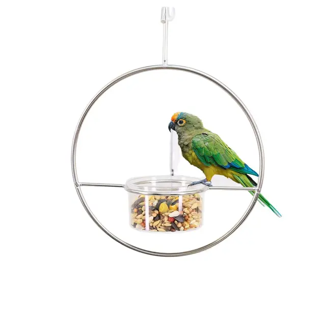 Outdoor hanging bird feeder - with transparent glass bowl bird feeder