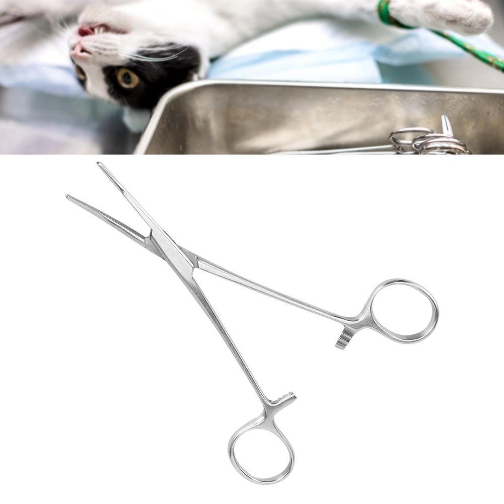 Surgical Haemostatic Hemostatic Forceps Stainless Steel Curved Tip Pliers Pet Hair… image 9