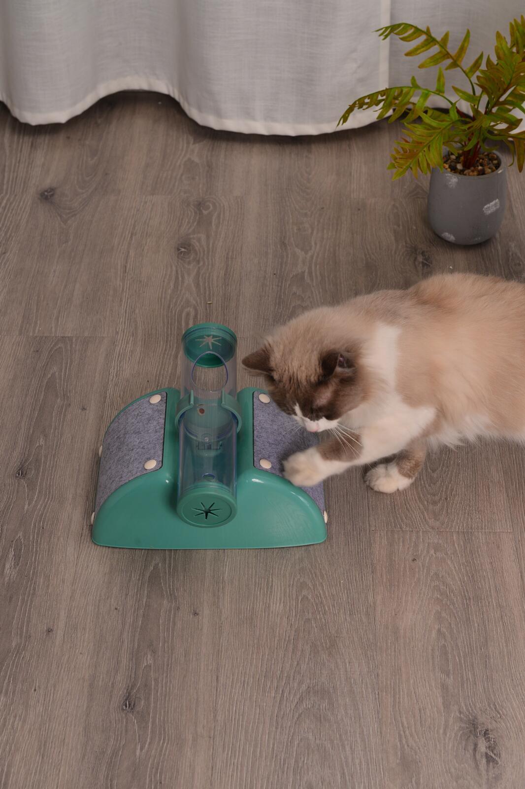 Cat Play Box Kit Pet Toy Kitten Toys Interactive Ball Peek Hunting Toy-Green image 5