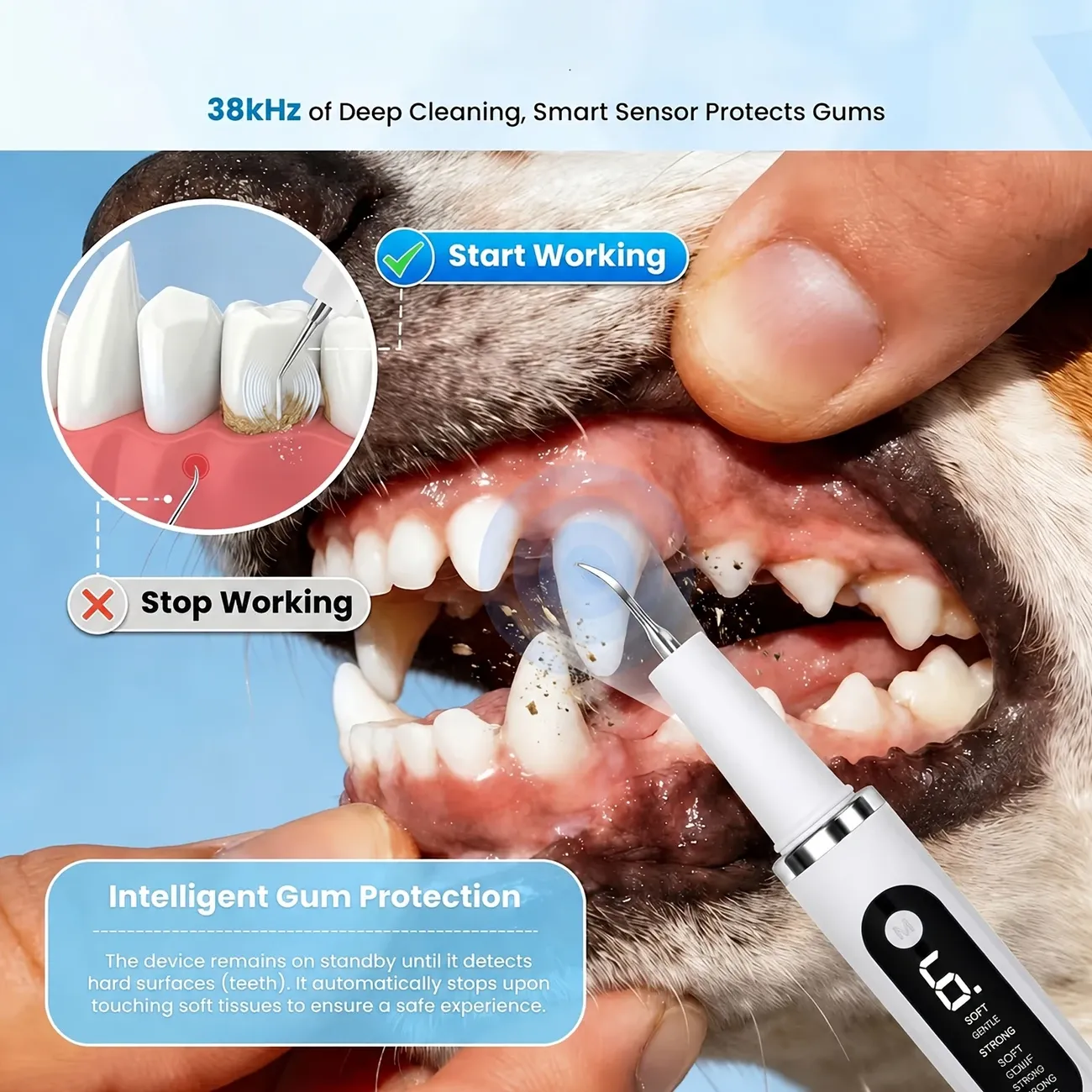 Pet Electric Ultrasonic Tooth Cleaner – USB Rechargeable image 3