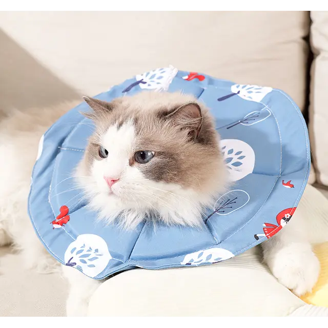 2 Pcs Size M Blue Comfortable Pet Recovery Collar