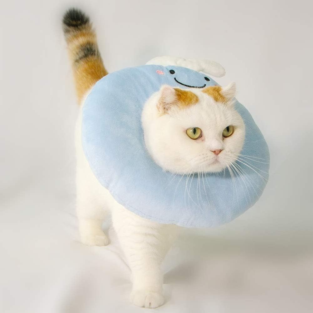 Cat Recovery Collar Soft image 5