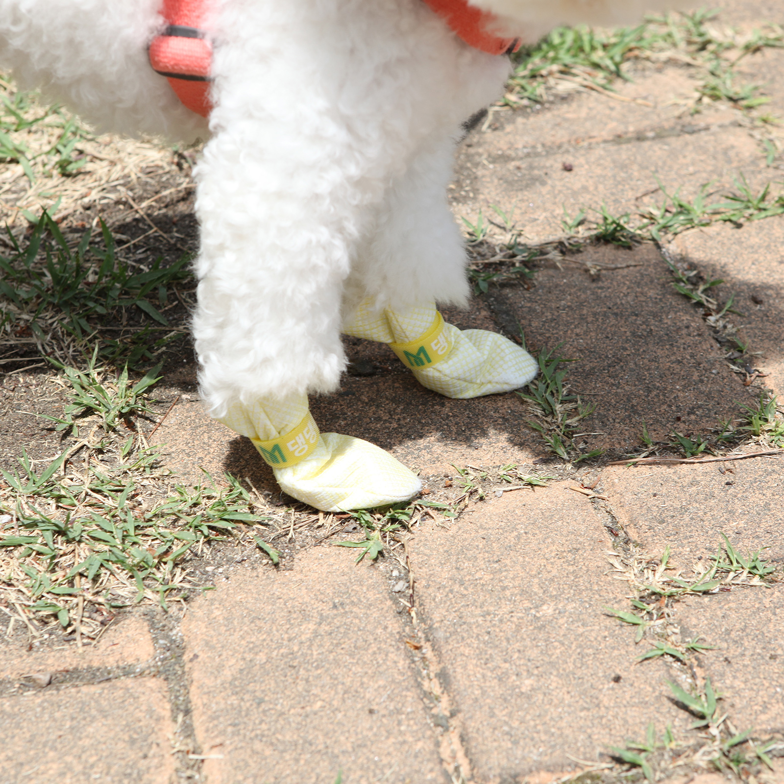 28pc X Dog Shoes Waterproof Disposable Boots Anti-Slip Pet Socks M VIOLET image 3