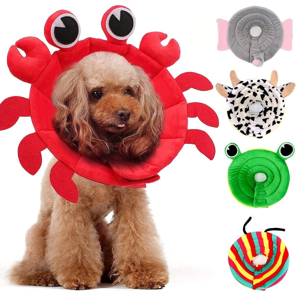 Cat Cone Collar