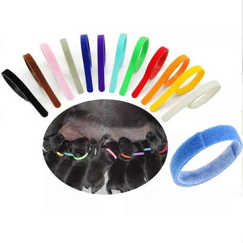 12 Colour Soft ID Collars for Puppies and Kittens Adjustable Pet Identifier Bands image 10