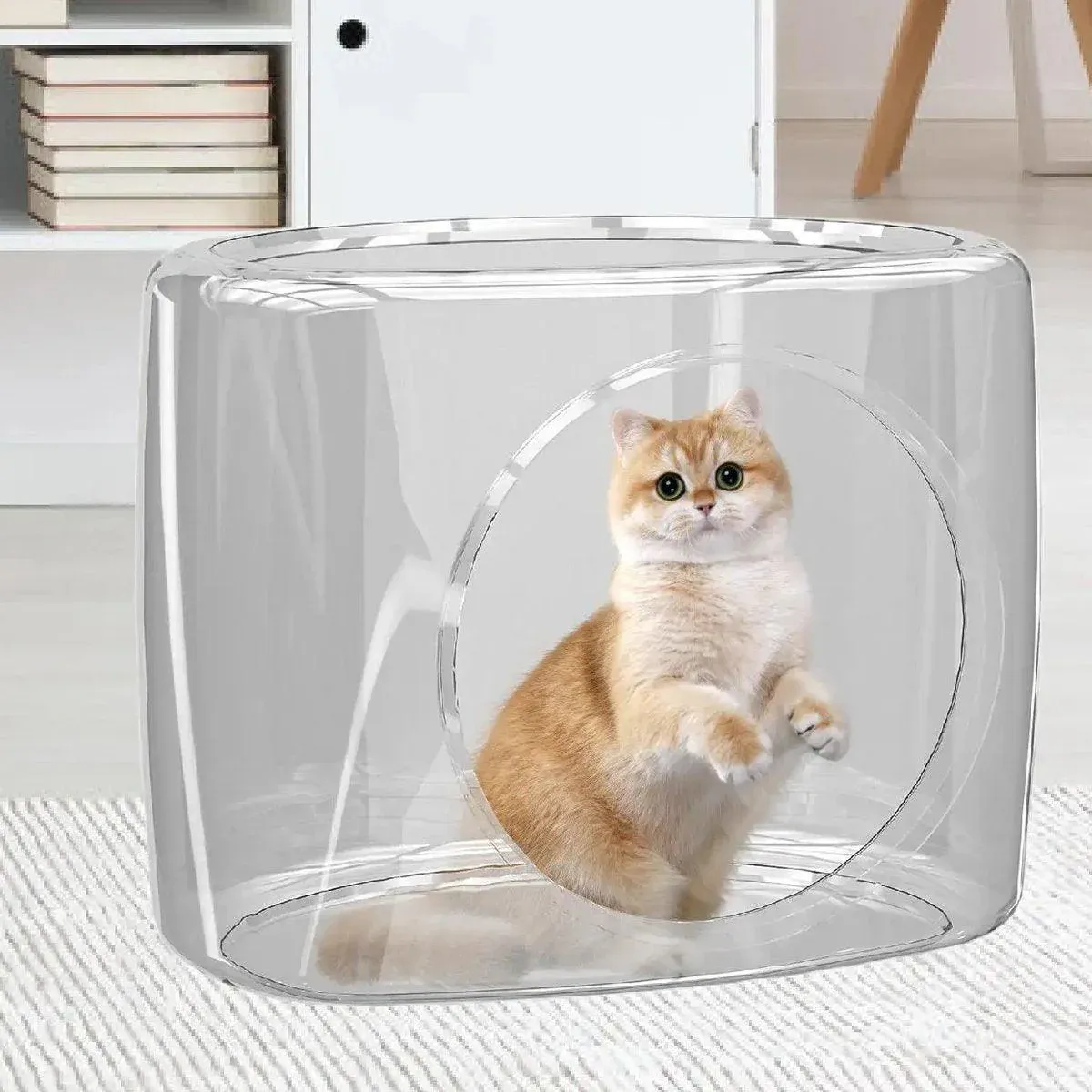 Transparent Capsule Cat Litter Box Semi Enclosed Cat House for Indoor Use image 12