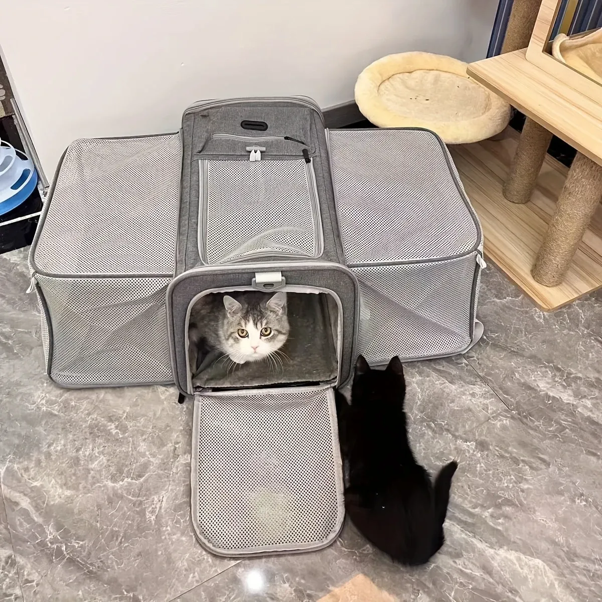 Expandable Airline Approved Pet Carrier – Dual-Side Expansion – Adjustable Straps, Grey image 5