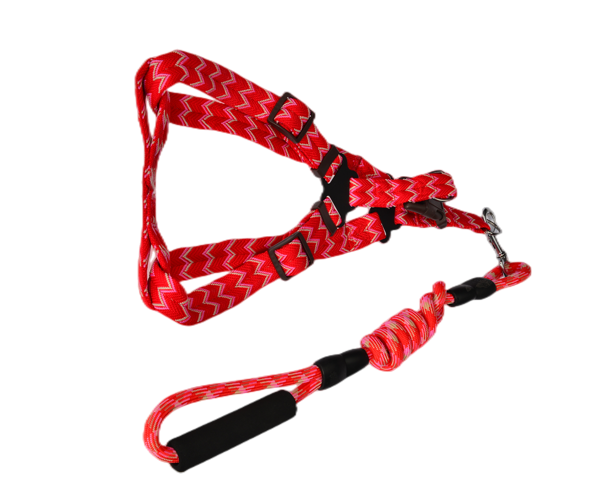 YES4PETS 2 X Medium Pet Dog Cat Puppy Kitten Rabbit Dog Harness Collar leash lead 5…