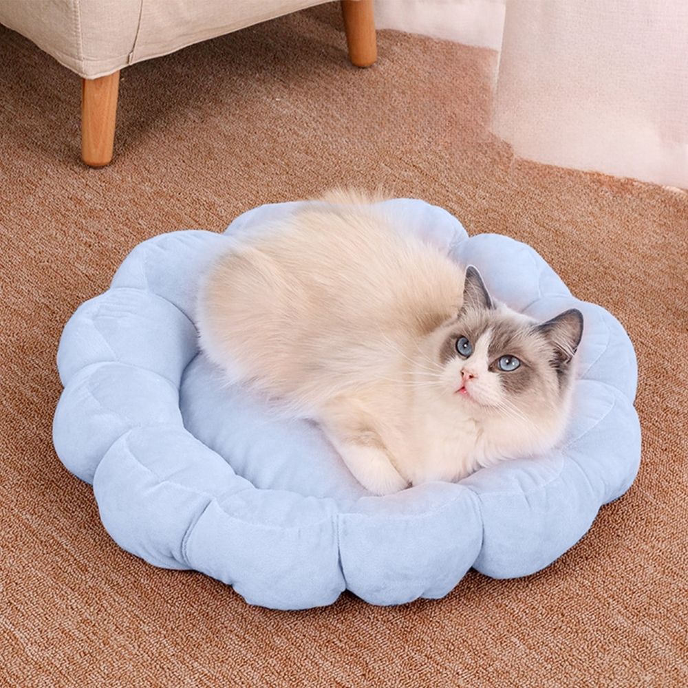 Blue Blue Thickened Fluffy Donut Pet Bed For Small Dogs And Cats Round Warm Sleeping… image 2