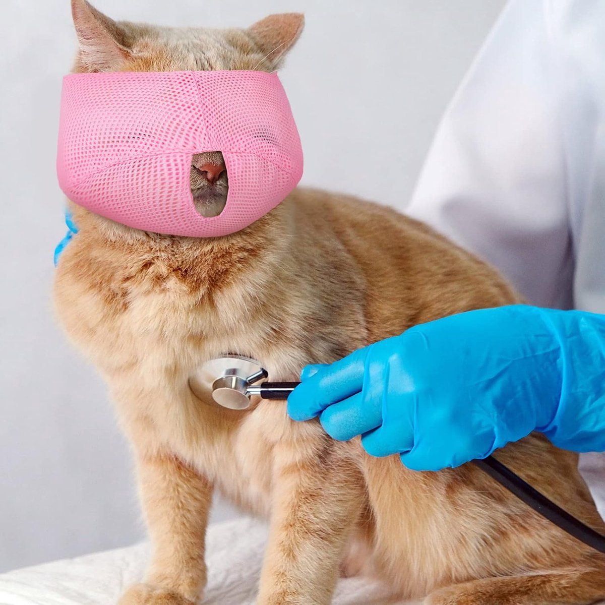 6 Piece Nylon Cat Muzzle Set, L image 5