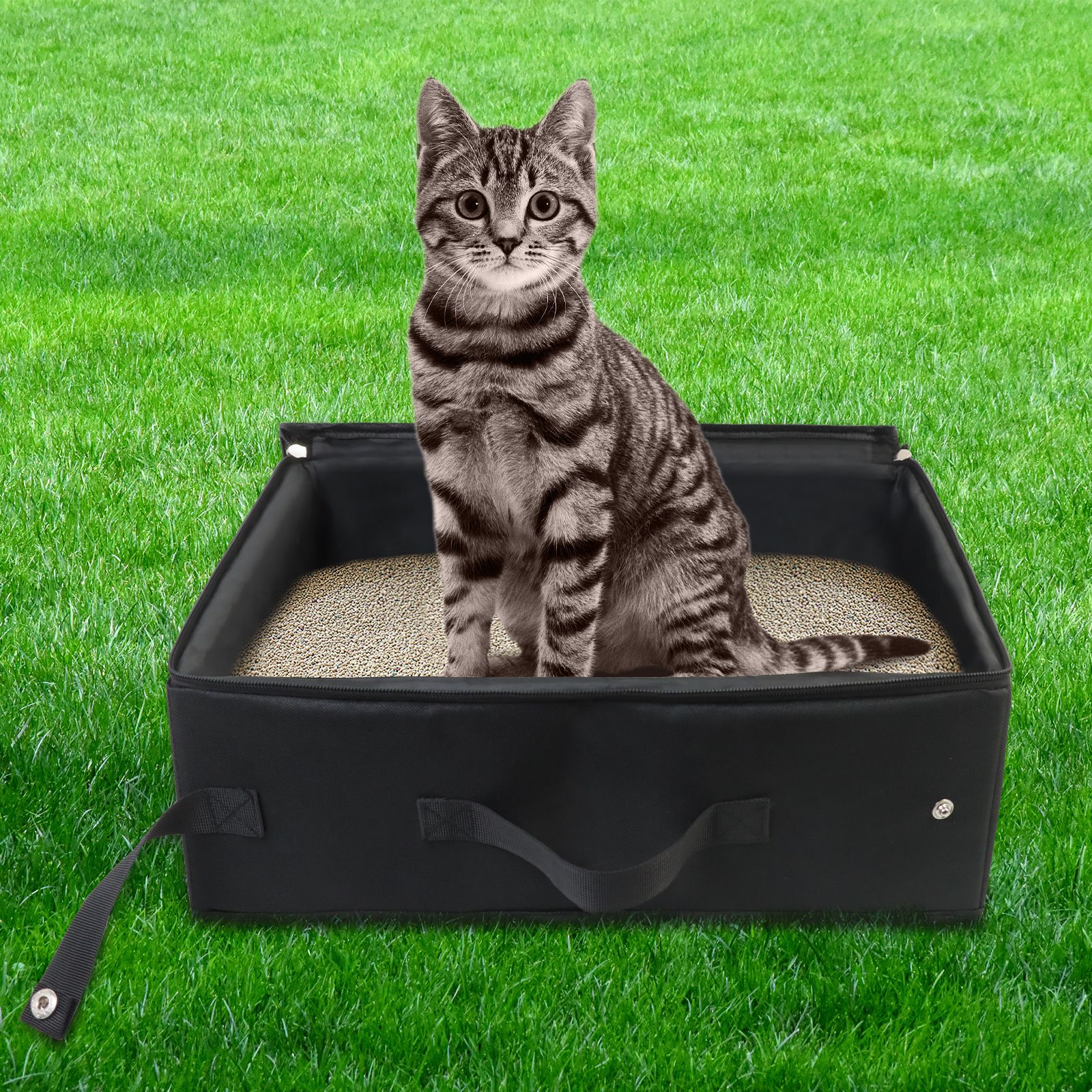Portable Cat Travel Litter Box with Zipped Lid – Foldable Travel Litter Box image 4