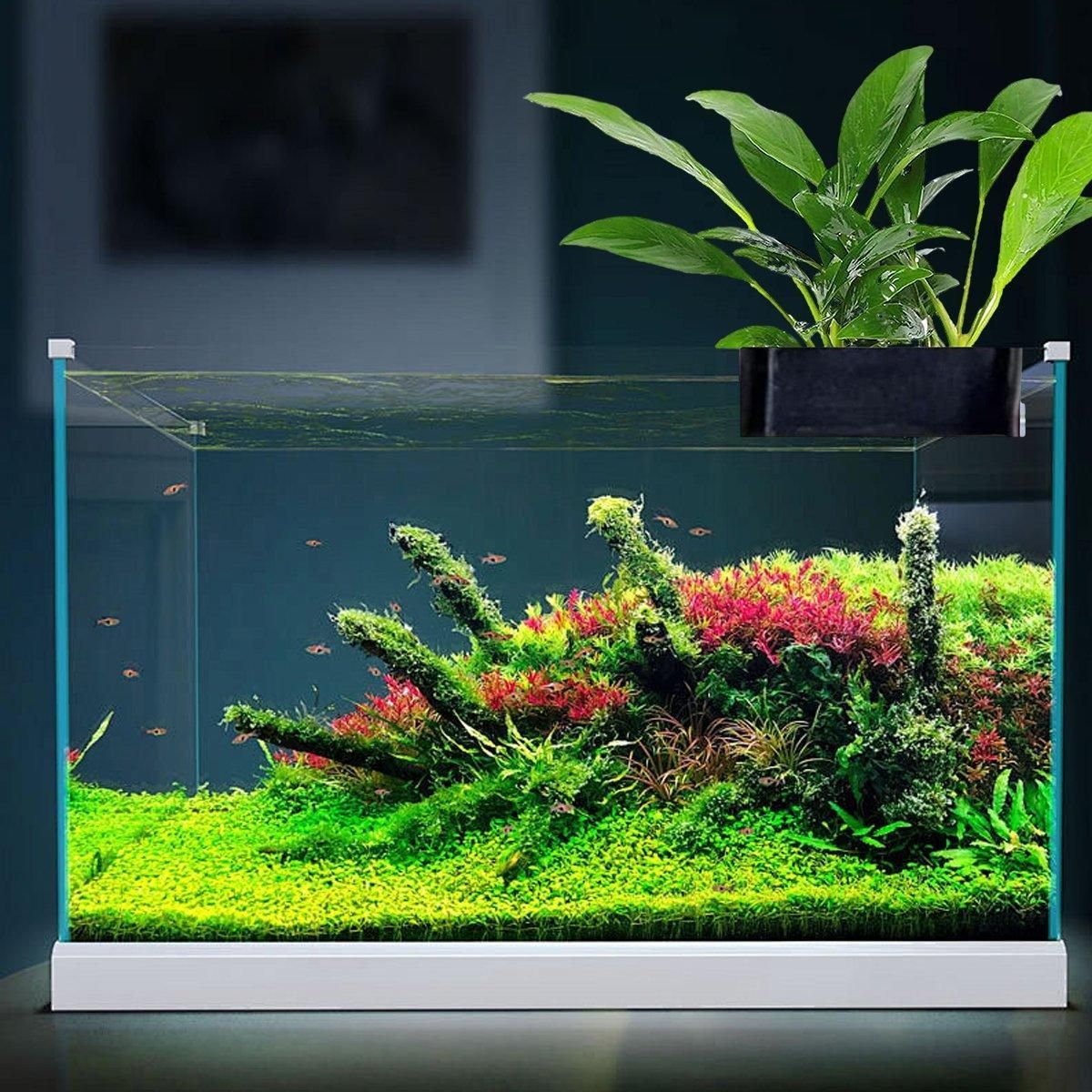 Aquarium Shelf Water Plant Cultivation Rack Fish Tank Plant Holder Decoration image 7