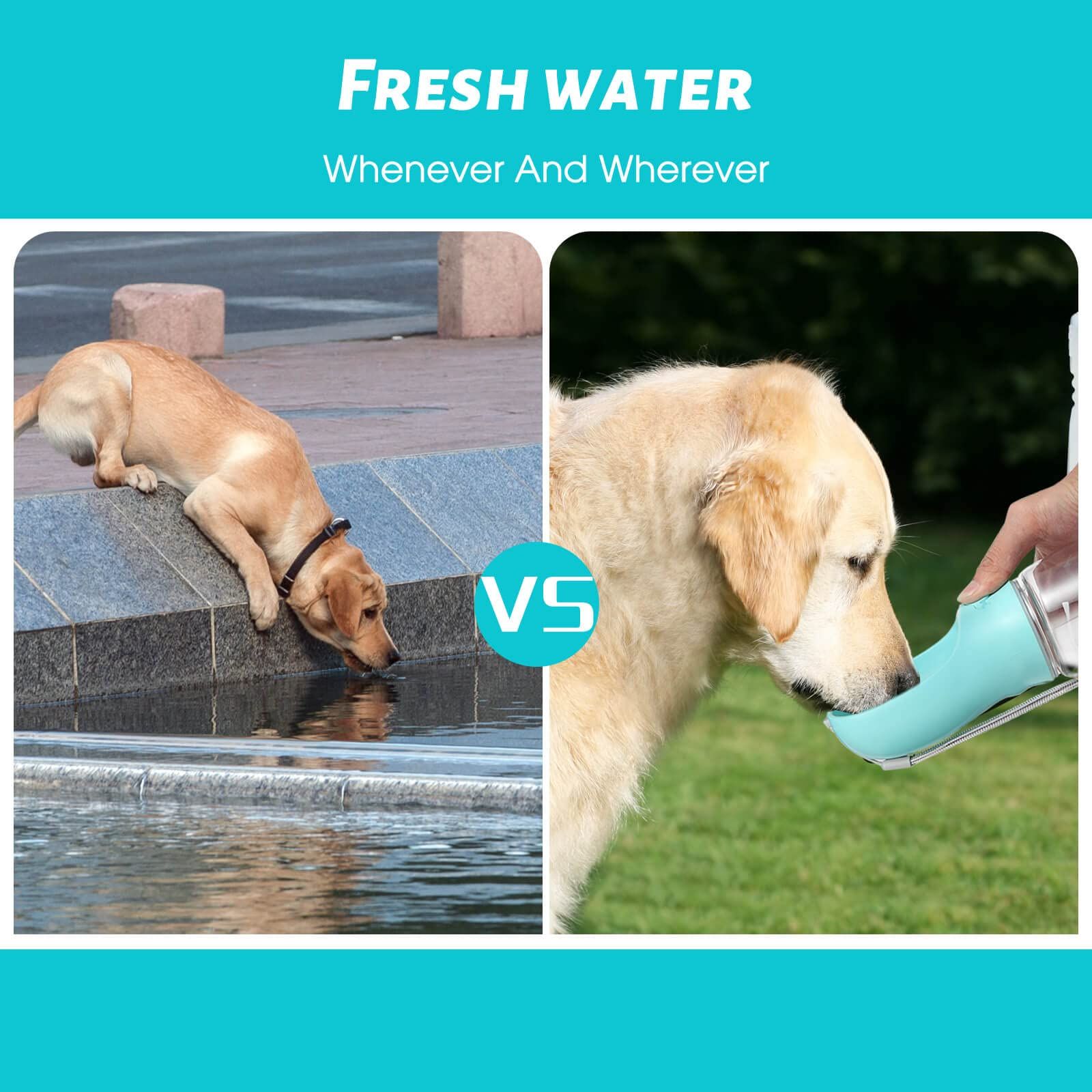 Leak Proof Portable Puppy Water Dispenser with Drinking Feeder for Pets Outdoor Walking image 2