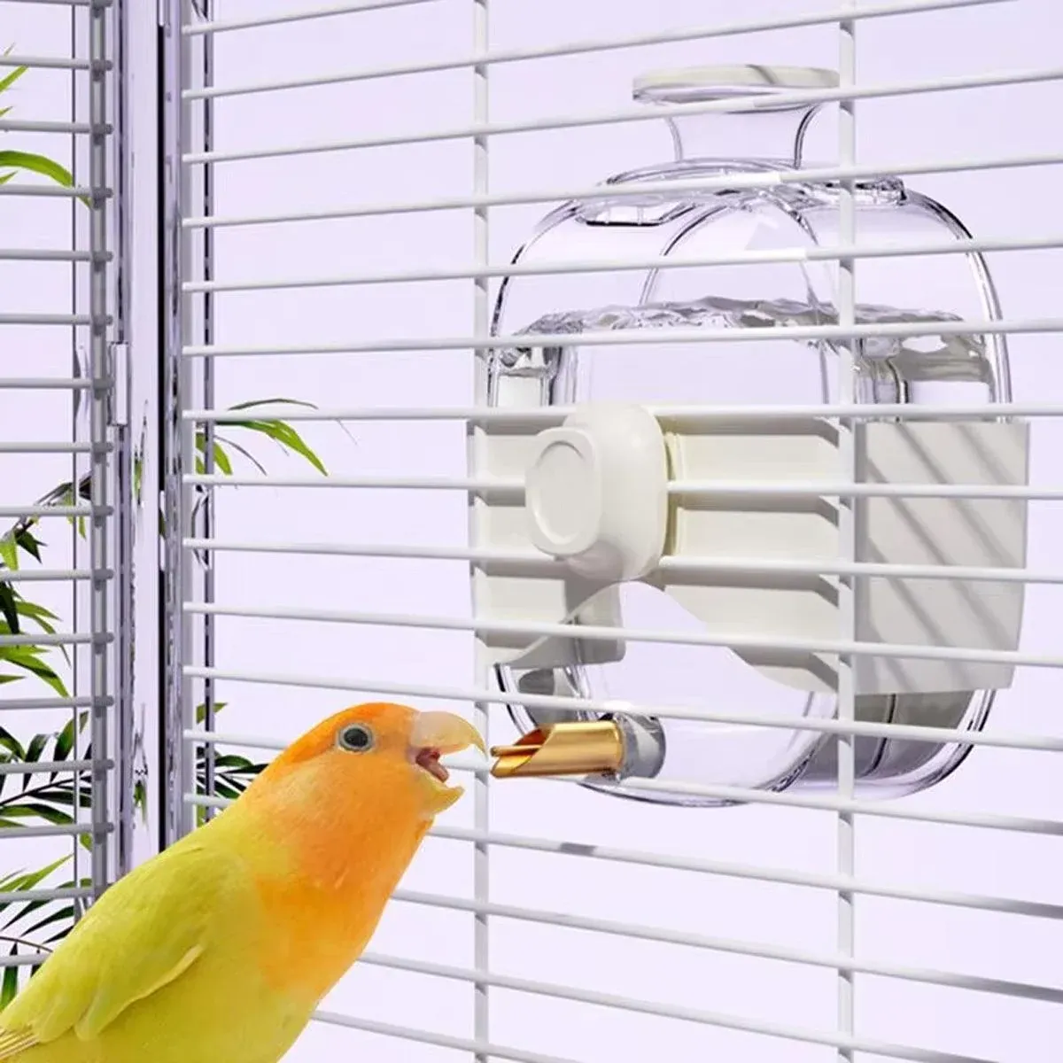 450ml Parrot Water Bottle Bird Drinker Feeder Large Capacity for Birds and Pet image 4