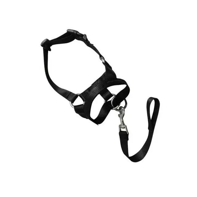 Black Dog Training Head Collar Halter Stop Pulling Training Tool Harness Strap Leader…