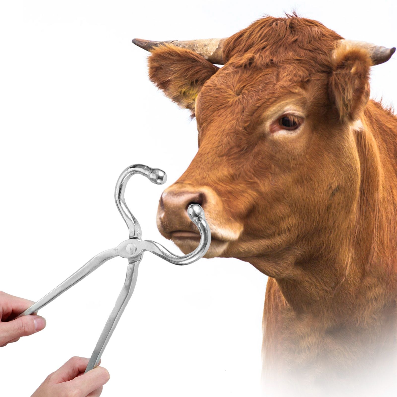Long Handle Cattle Nasal Forceps Clip Nose Pliers Livestock Cow Cattle Nose Plier image 9