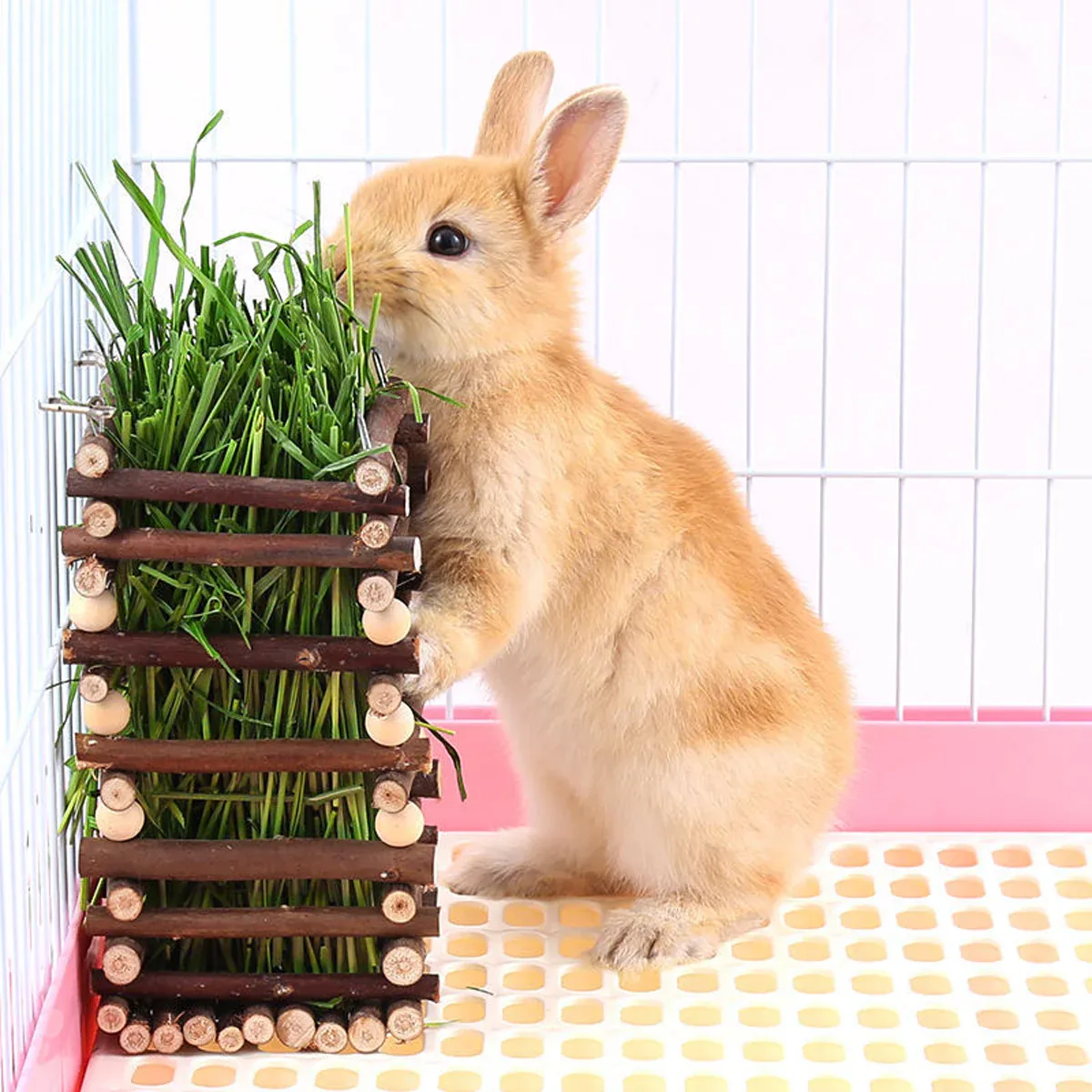 Rabbit Hay Feeder Rack Apple Wood Grass Holder Natural Food Rack Small Pet image 13