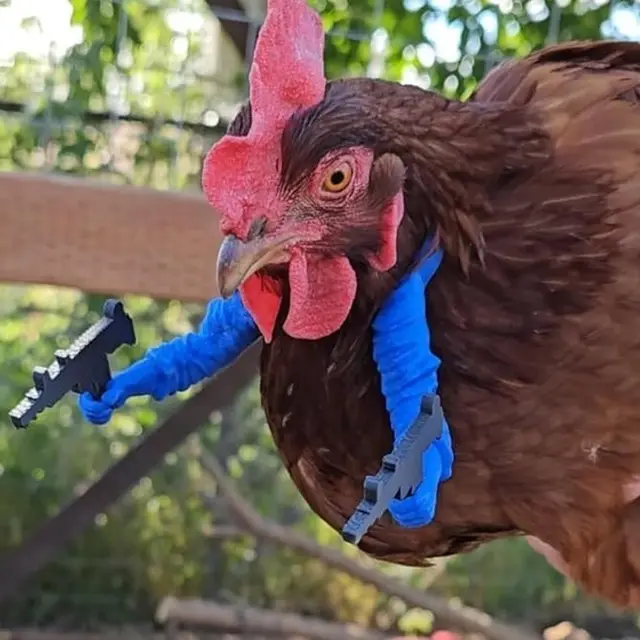 Chicken arms with Guns Fun, White
