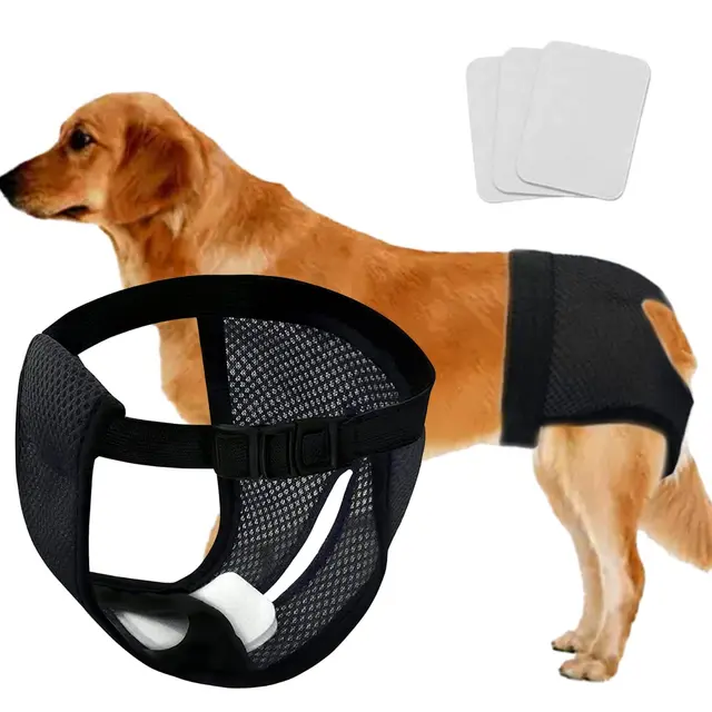 Every Pet Reusable Diapers with 3 Replace Diaper