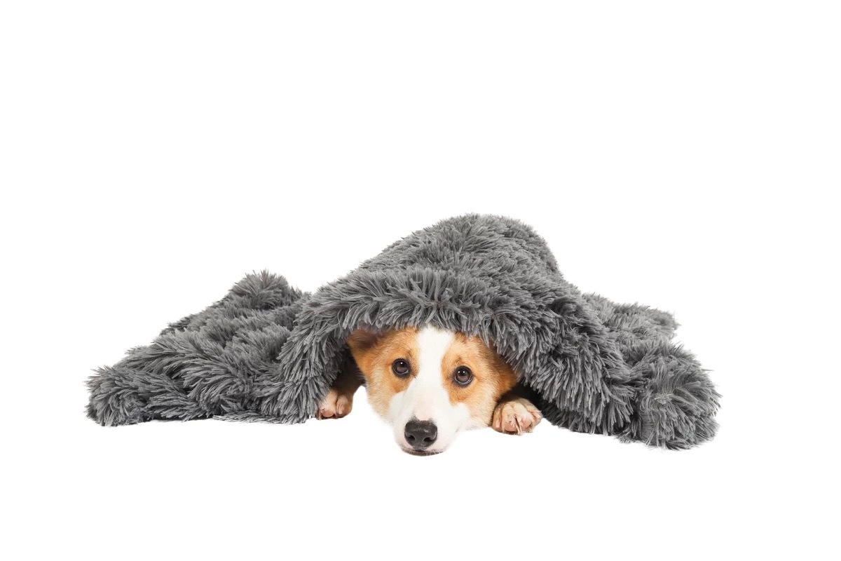 YES4PETS Pet Calming Plush Blanket Dog Cat Rug Puppy Kitten Soft Warmth…, 127X100cm image 2
