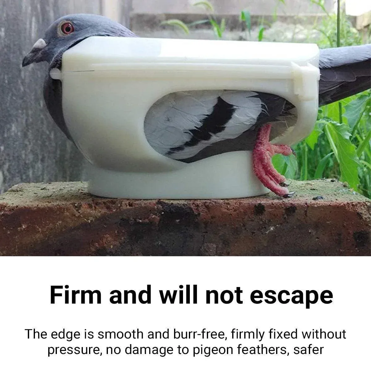 2X Practical Plastic Racing Pigeon Holder Fixed Frame Rack Bird Medicine Feeder image 6