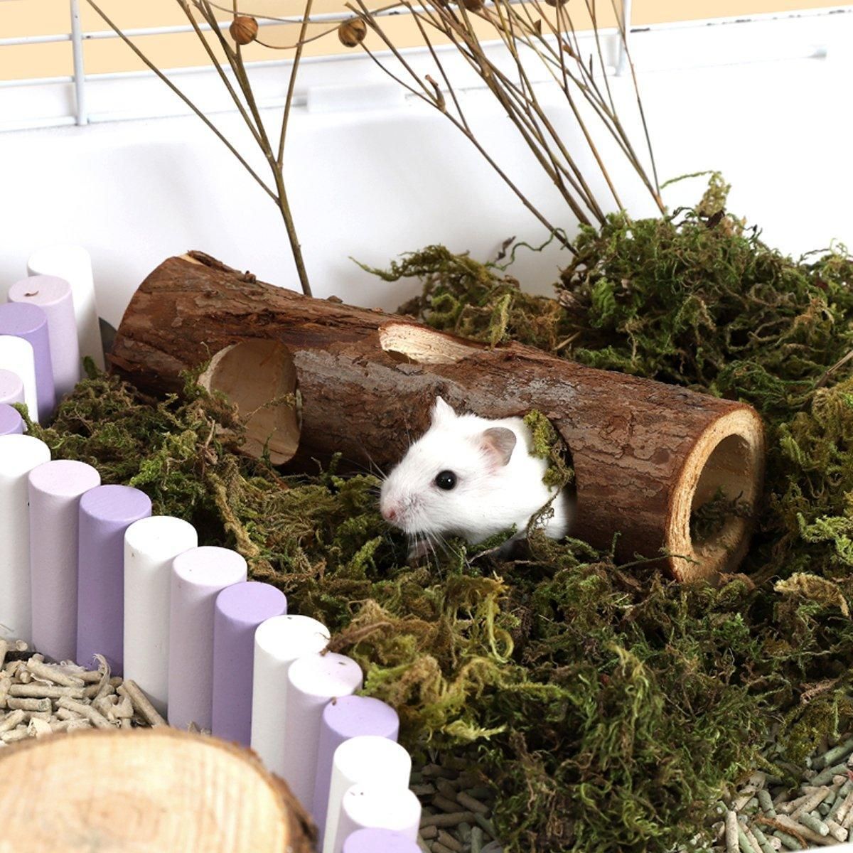 Solid Wood Hamster Pipe Rabbit Chew Toy Tree Cylinder Cross Border Pet Supplies image 11
