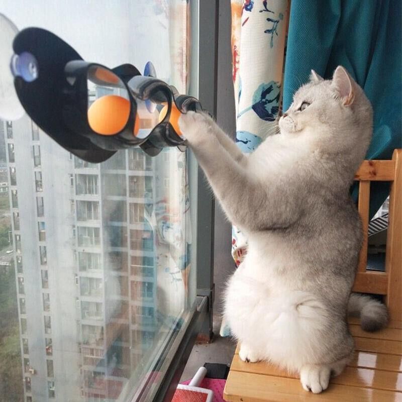 Interactive Cat Track Ball Toy with Window Suction Cup for Indoor Play and Exercise image 6