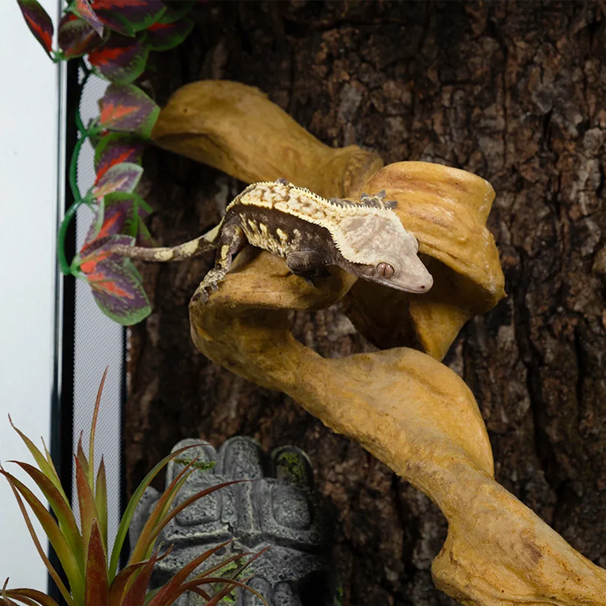 Simulated Vine Plants Reptile Habitat Terrarium Decor for Lizards and Tree Frogs image 4