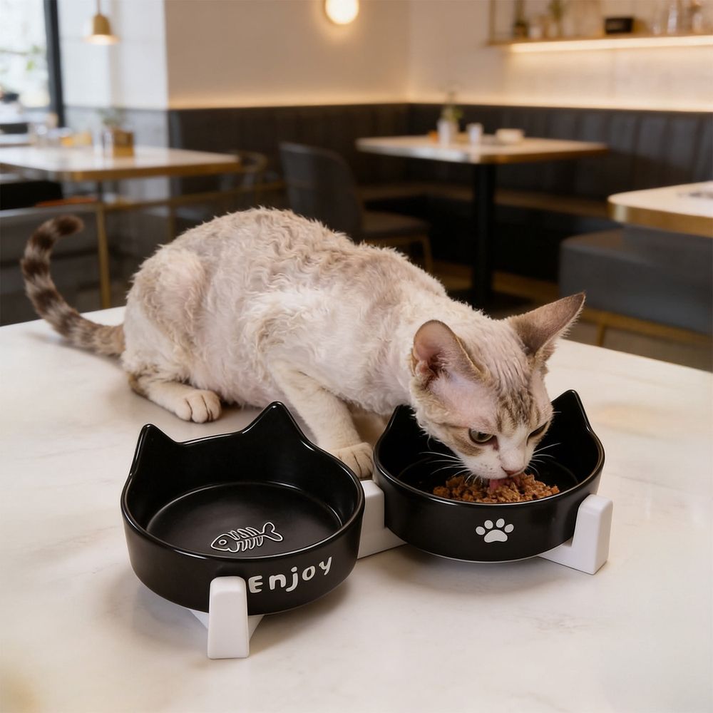 Ceramic Dog and Cat Bowl Set with Wooden Stand Non-Slip Matte Glaze Weighted…, White image 5
