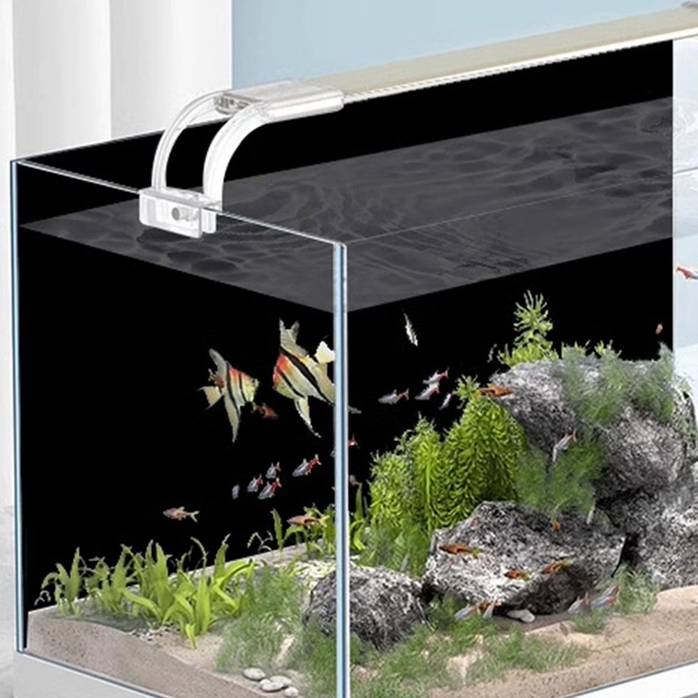 Aquarium Background Black Fish Tank Background Wallpaper image 4