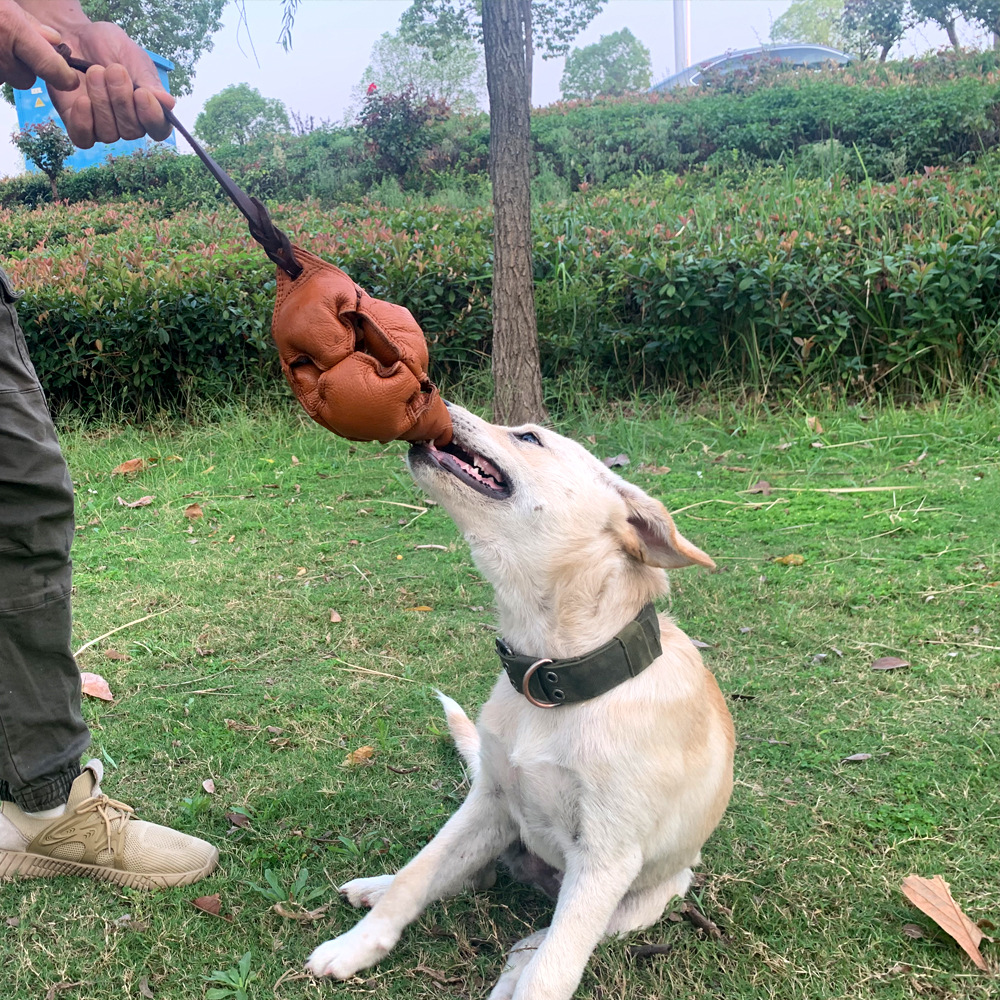 Black Durable Leather Dog Training Ball with Loop Handle - Interactive Bite & Tug Toy… image 5