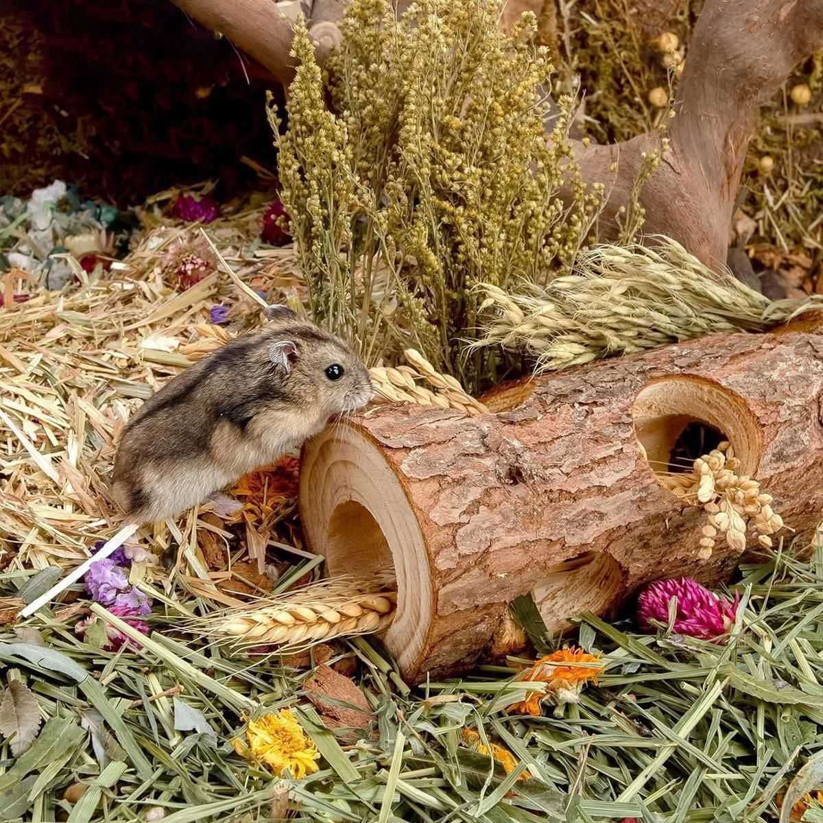 Solid Wood Hamster Pipe Rabbit Chew Toy Tree Cylinder Cross Border Pet Supplies image 4