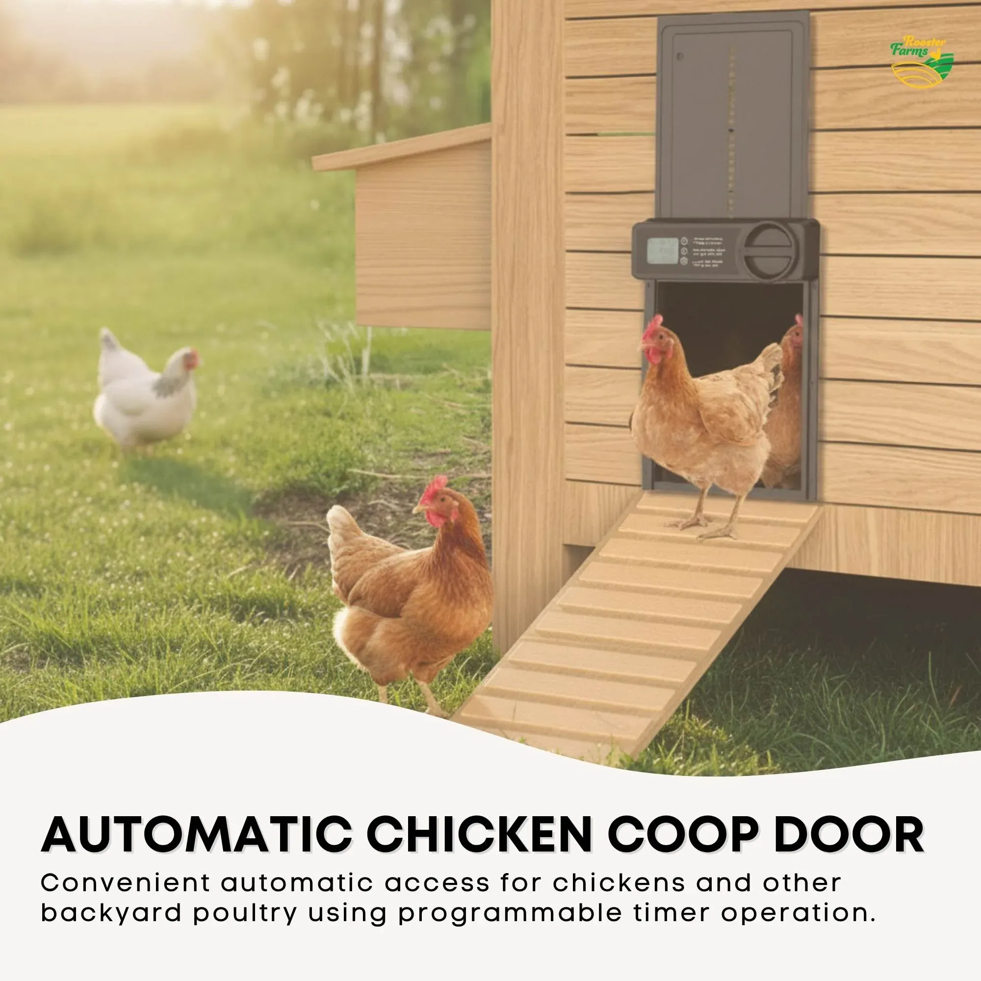 Rooster Farms Automatic Chicken Coop Door - Battery Timer Anti Pinch Safety image 2