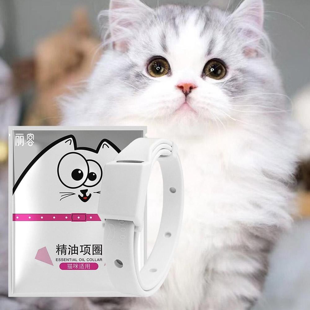 Pet Essential Oil Collar For Mosquito Insect Repellent,ashable Cat Collar image 4