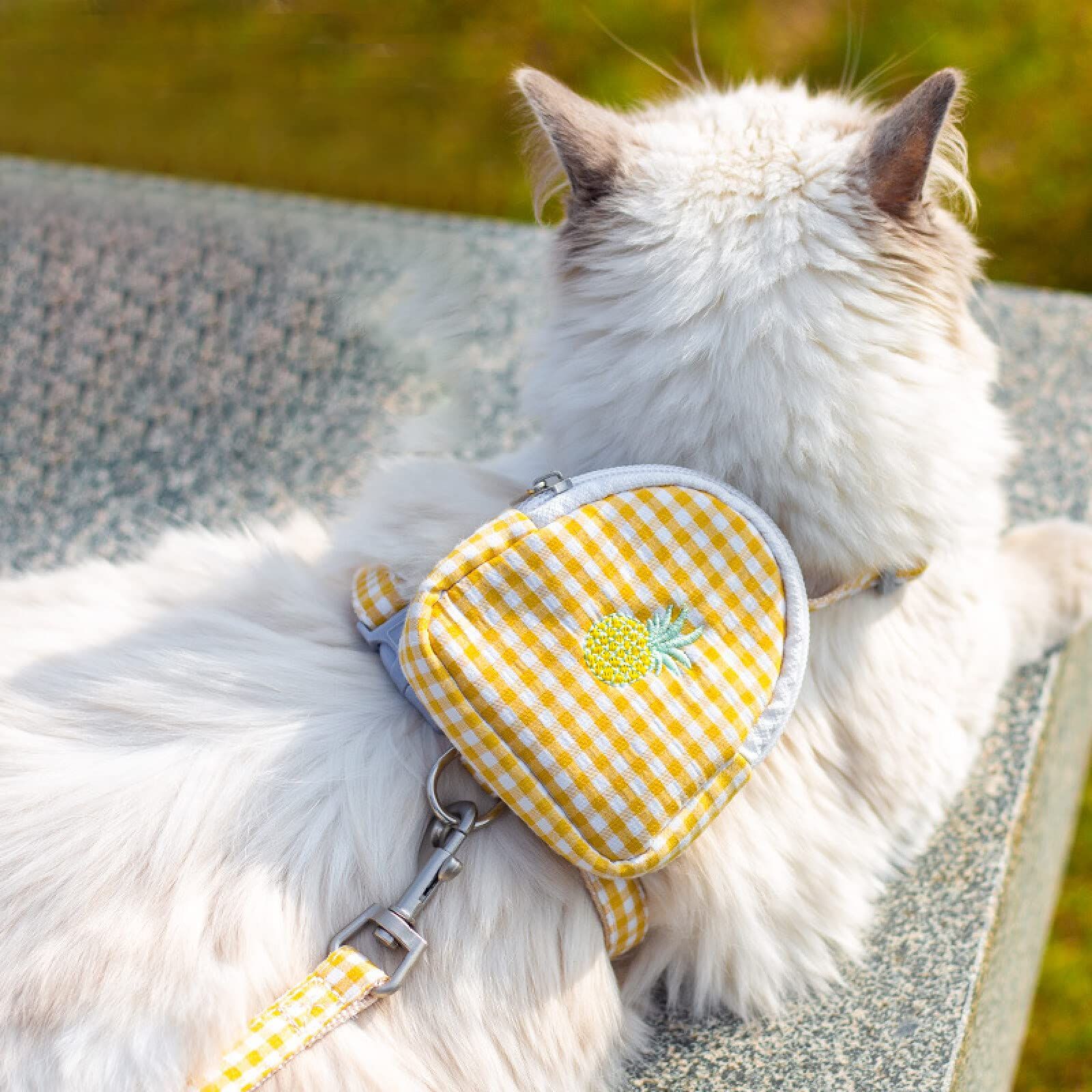 Cat Small Dog Self Mini Carrier Back Pack Pocket Saddle Bags Puppy Bag with Training… image 4