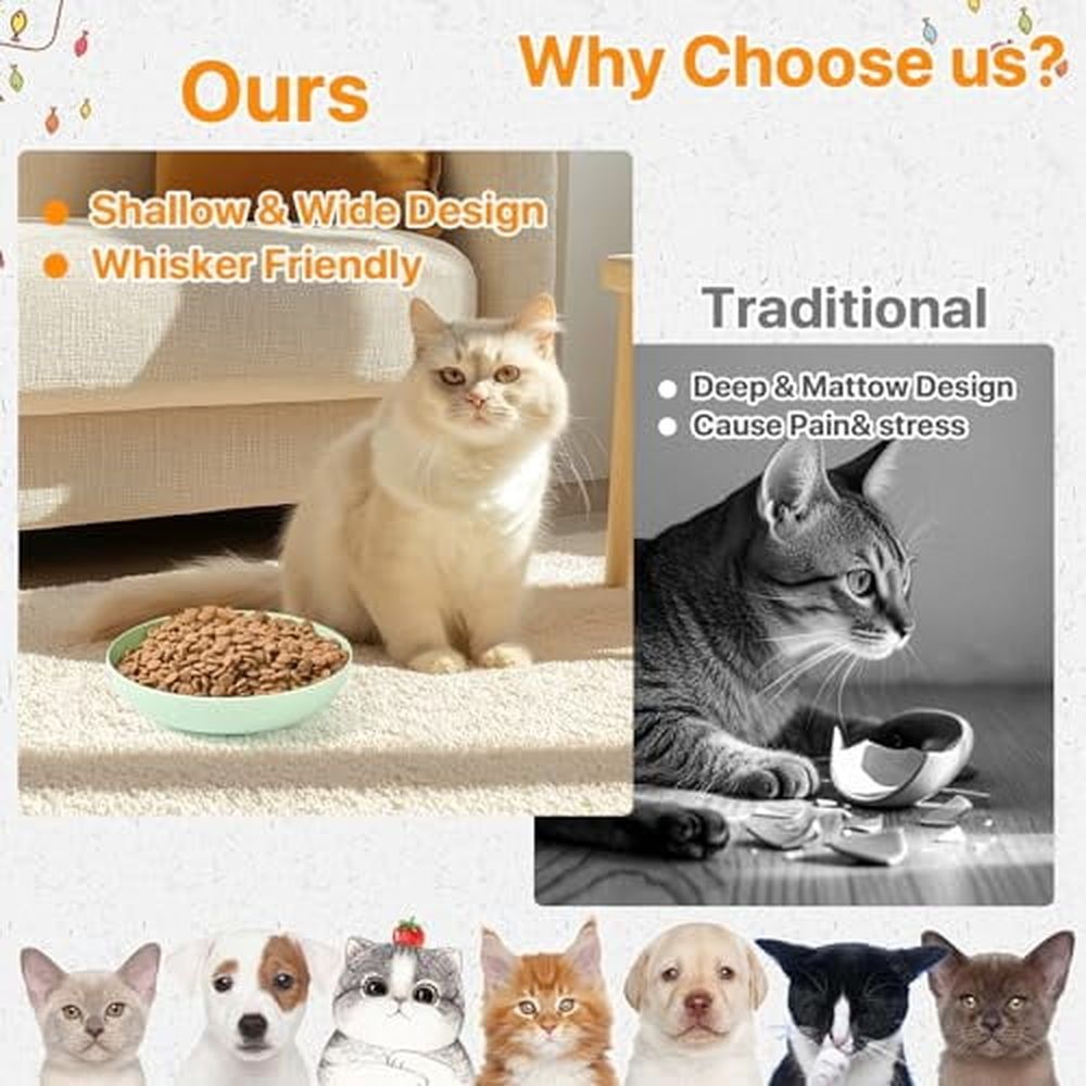 12 Pack Cat Food Bowl 5.7 Inch Cat Bowls image 5