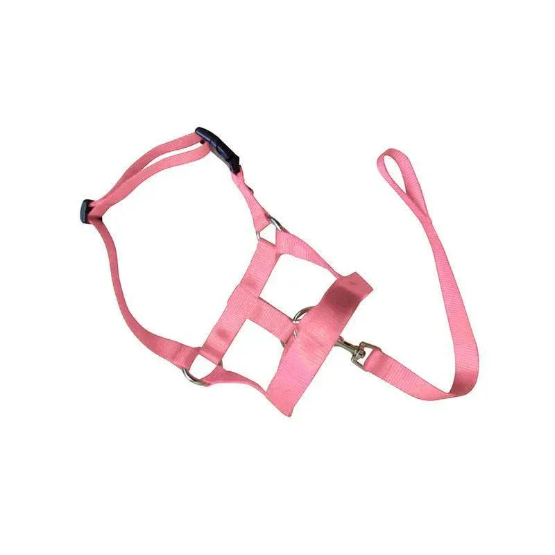 Pink Dog Training Head Collar Halter Stop Pulling Training Tool Harness Strap Leader… image 3