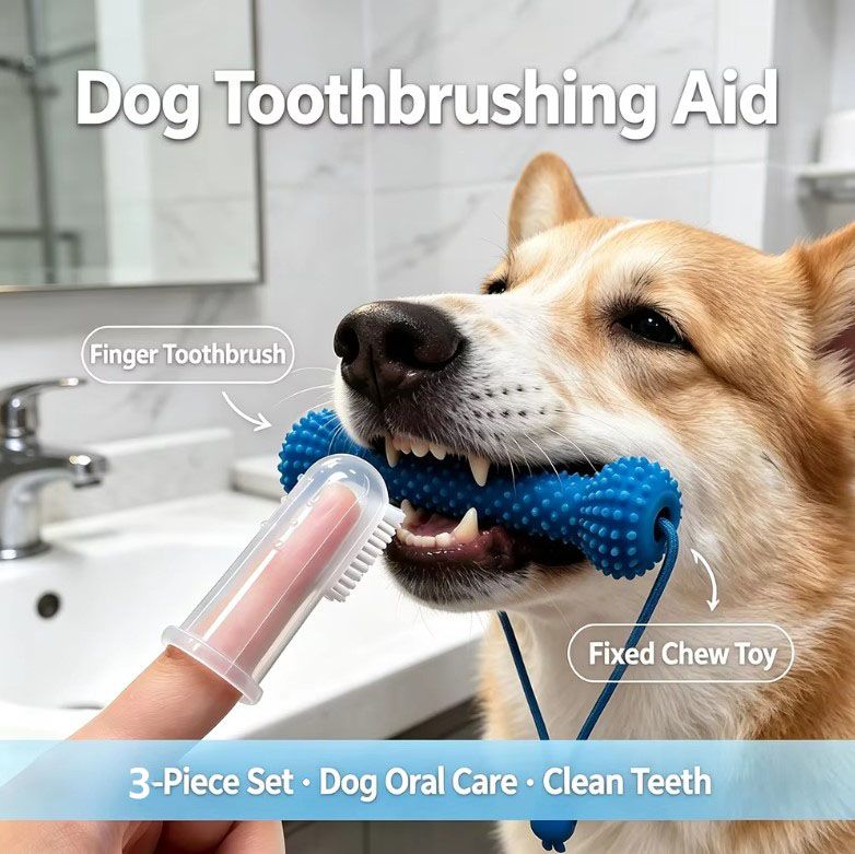 Dog Dental Chew Toy and Finger Brush Set - 10cm Blue Hands Free Chew Toy with 3… image 2