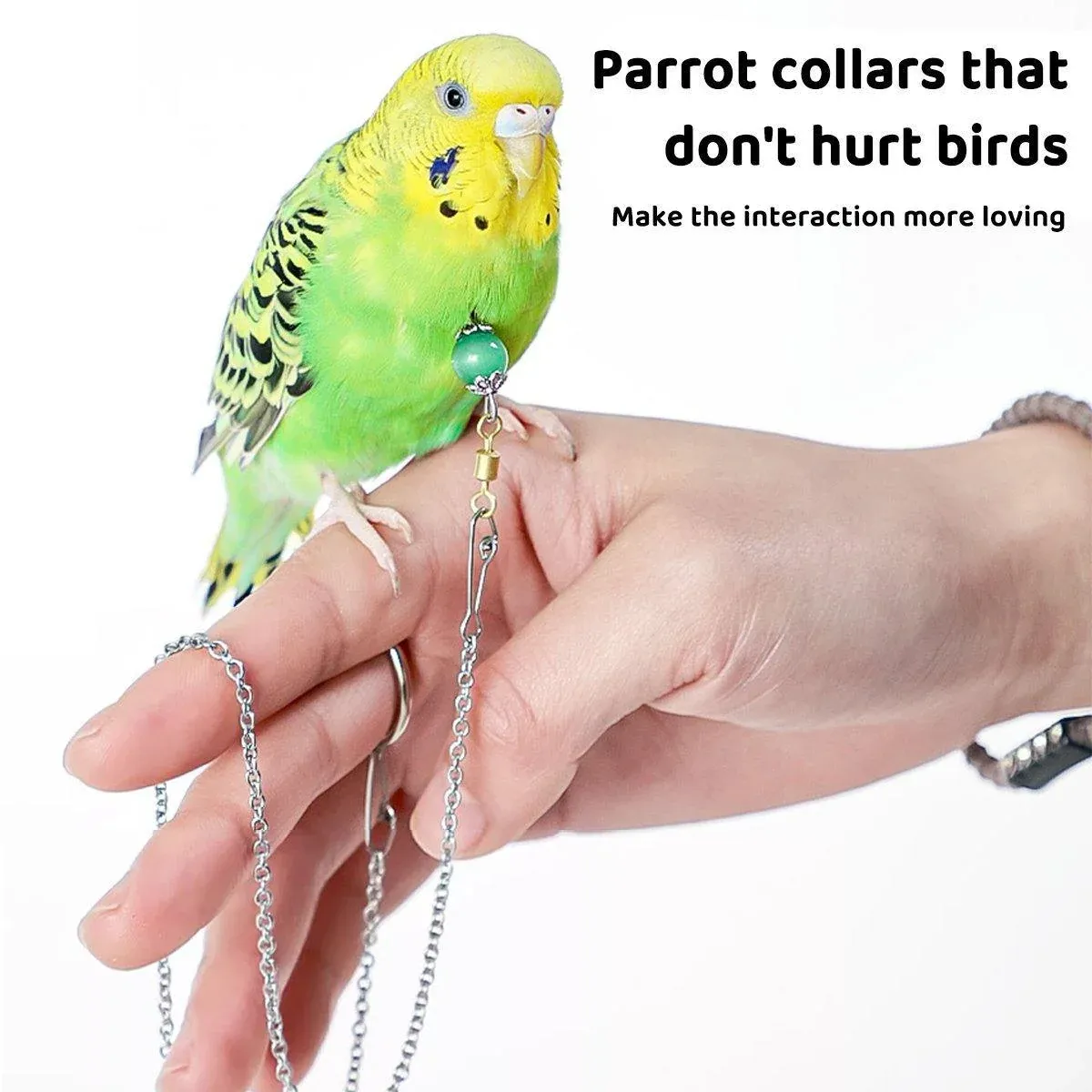 Parrot Neck Collar Stainless Steel Bird Chain Training Adjustable Bird Leash… image 9
