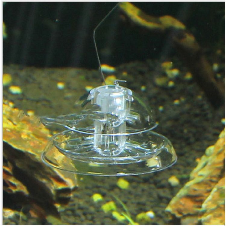 Snail Trap Plastic Aquarium Snail Trap for Fish Tank Clear Snail Catcher Fish Plants… image 3