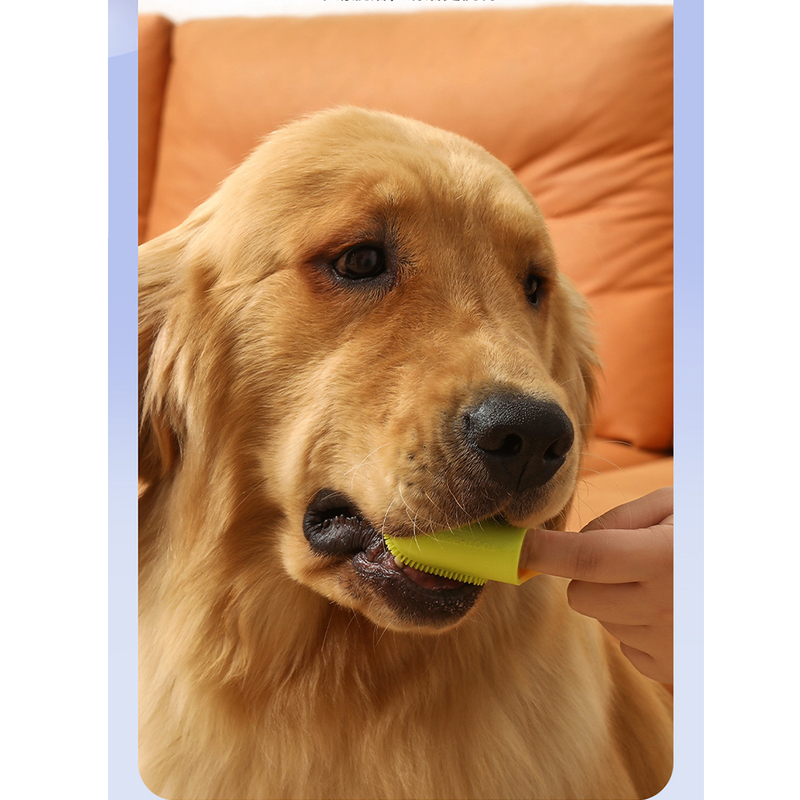 Pet Finger Toothbrush, Soft Silicone Dog and Cat Oral Cleaning Tool with Handle - White image 3