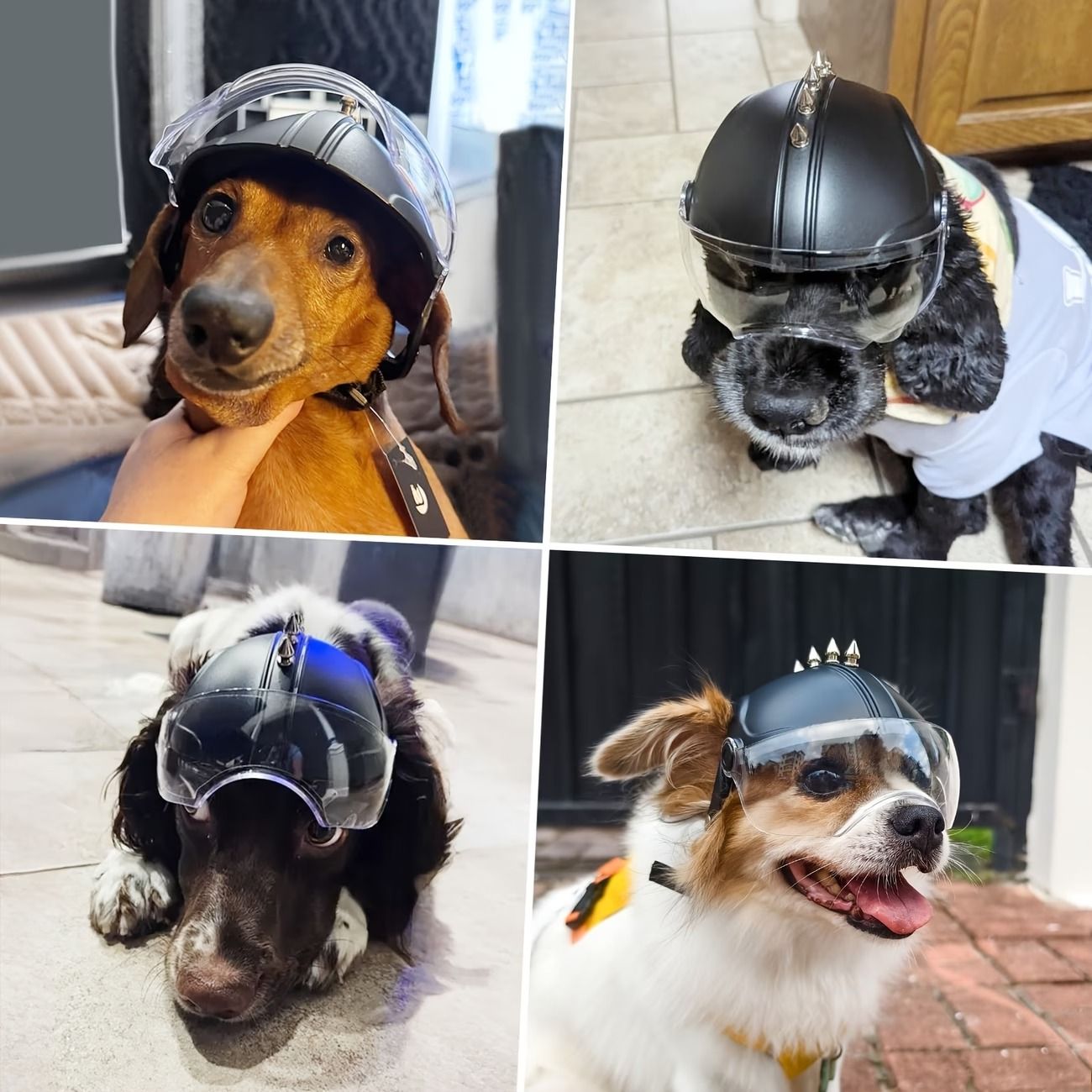New Pet Goggles Helmet Glasses 2-in-1 Motorcycle Cap Punk ABS UV Protection Breathable… image 6