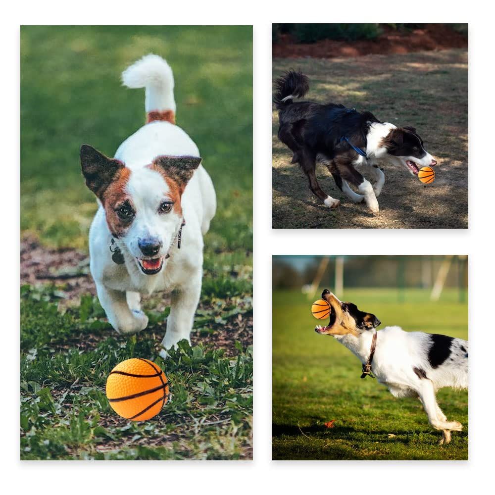 Pet Training Chewing Sound Ball Squeaky Playing Ball Toy Dog Puppy Training Sound Toy… image 5
