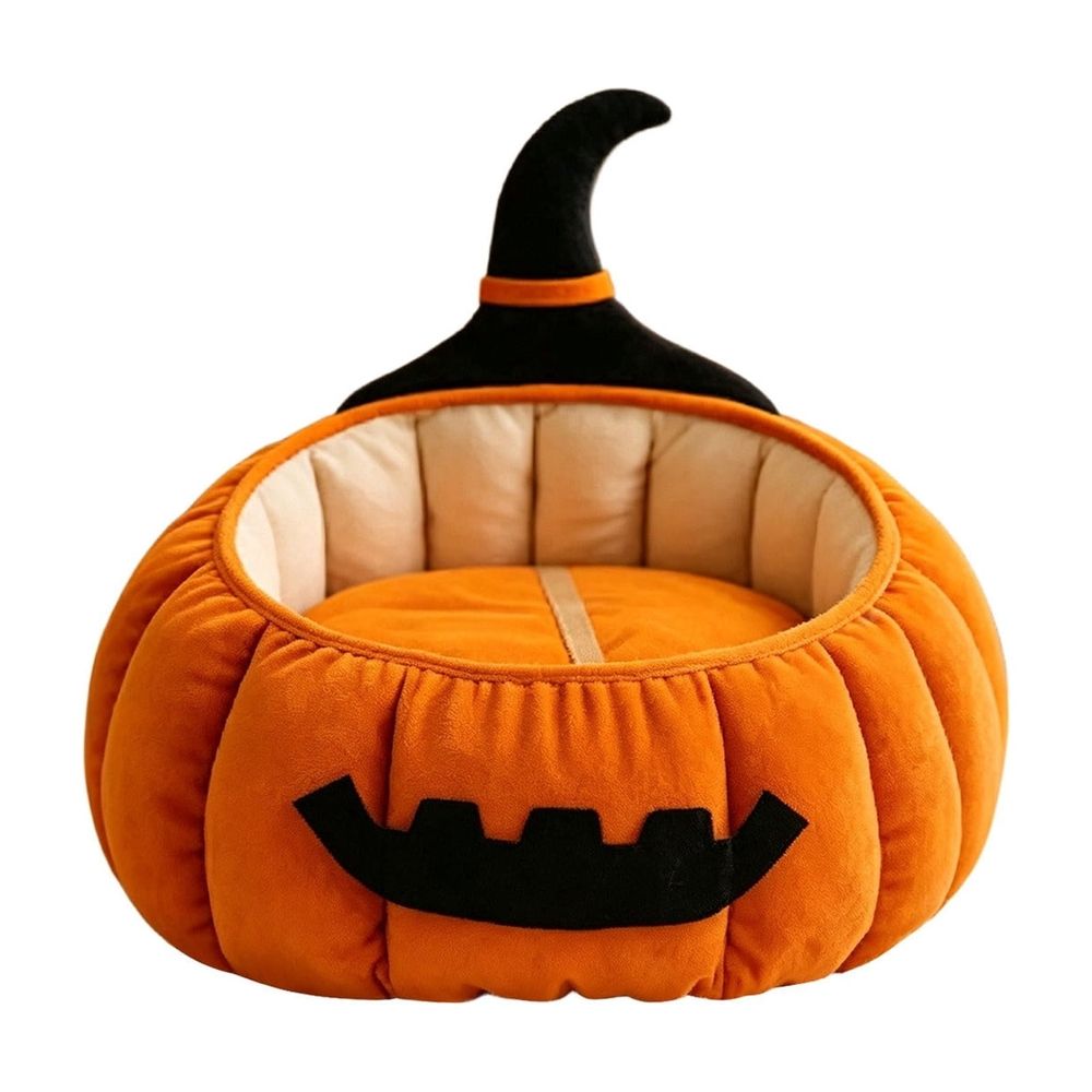 Cat Beds for Indoor Cats