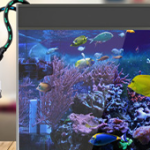 Aquarium